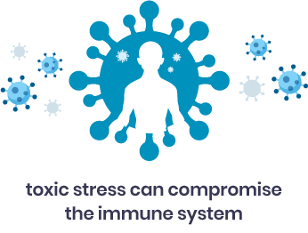 The Immune System.